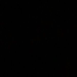 Meet your Posher, Randy